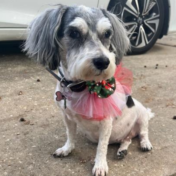 🌷💞LOVE, RUBY IS LIVE🤗 $10-$20 CLOTHING TRAY RUN💕🌷 - Picture 4 of 8